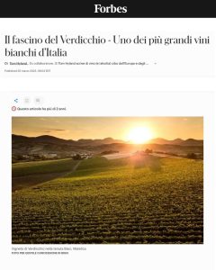 MIGLIOR-VINO-BIANCO