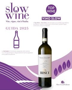 verdicchio di matelica senex 2018 riserva top wine vino slow